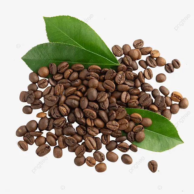 پی بی هند